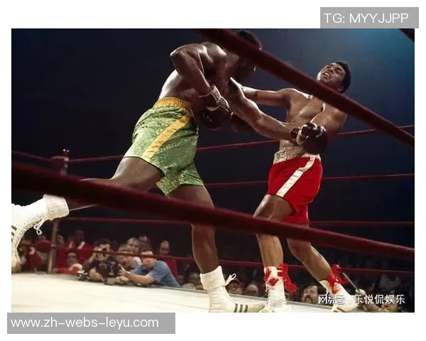 大布与马丁的巅峰对决谁将成为拳坛新王者的传奇之战